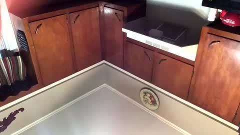 Snapshot of 33adidas chatting on November 8, 2025, 11:54 am 33adidas online show from November 8, 2025, 11:54 am