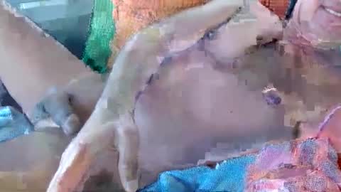 Snapshot of 56funleo chatting on November 17, 2025, 10:59 pm Daddy online show from November 17, 2025, 10:59 pm