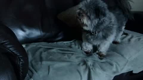 Snapshot of 66bear chatting on December 22, 2024, 11:00 am 66bear online show from December 22, 2024, 11:00 am