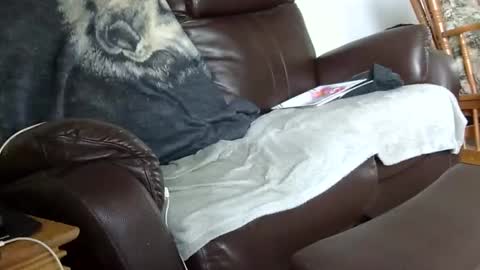 Snapshot of 66bear chatting on December 14, 2025, 3:28 pm 66bear online show from December 14, 2025, 3:28 pm