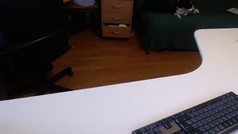 69pifpaf online show from February 10, 2025, 1:11 pm