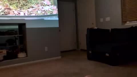 69singledad79 online show from March 10, 2025, 4:17 am