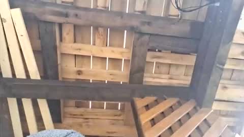 Snapshot of 999mateo999 chatting on October 11, 2025, 11:20 am 999mateo999 online show from October 11, 2025, 11:20 am