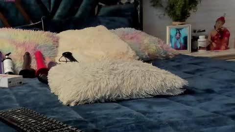 Snapshot of _brendamichel_ chatting on March 8, 2025, 12:20 pm Brenda online show from March 8, 2025, 12:20 pm