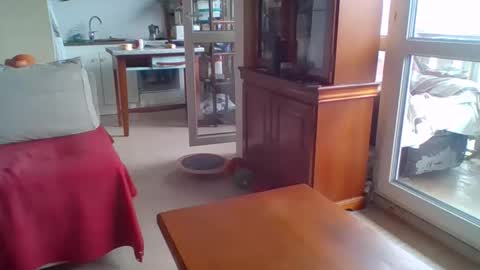 Snapshot of _bubble_buttfunxxx chatting on September 13, 2025, 7:52 am _bubble_buttfunxxx online show from September 13, 2025, 7:52 am