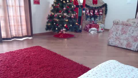 candygirl online show from January 15, 2025, 5:58 pm