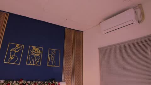 Dakota online show from December 28, 2024, 5:46 pm