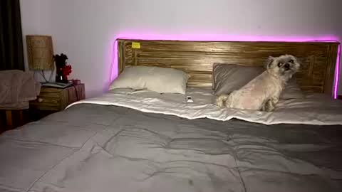 Snapshot of _elisavae chatting on December 15, 2025, 8:07 am elisa online show from December 15, 2025, 8:07 am