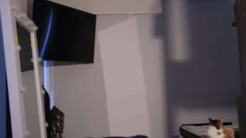 Snapshot of _mikestone chatting on February 7, 2025, 2:04 pm soy mike online show from February 7, 2025, 2:04 pm