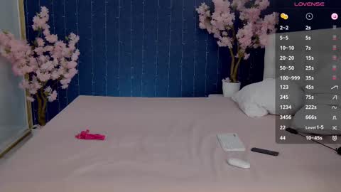 Snapshot of _mirror_girl chatting on February 19, 2025, 6:33 am Victoria online show from February 19, 2025, 6:33 am