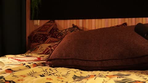 Snapshot of _northern_girl_ chatting on January 21, 2025, 3:10 pm Lady Jess from house of Dragonborns online show from January 21, 2025, 3:10 pm