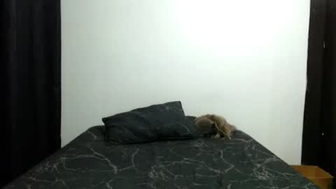 Sofia Parker online show from November 13, 2025, 3:55 pm