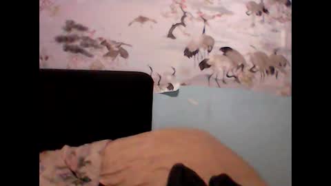 _sollar777 online show from January 7, 2025, 1:06 am