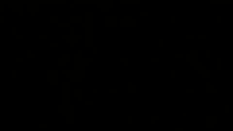 Melisa online show from February 20, 2025, 2:46 pm