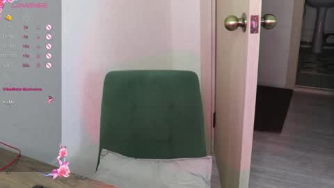 Snapshot of _viv1an_ chatting on January 15, 2025, 8:09 am Alis online show from January 15, 2025, 8:09 am