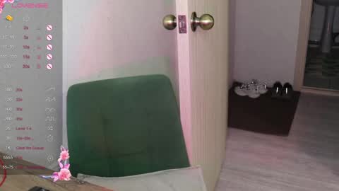 Snapshot of _viv1an_ chatting on January 16, 2025, 7:38 am Alis online show from January 16, 2025, 7:38 am