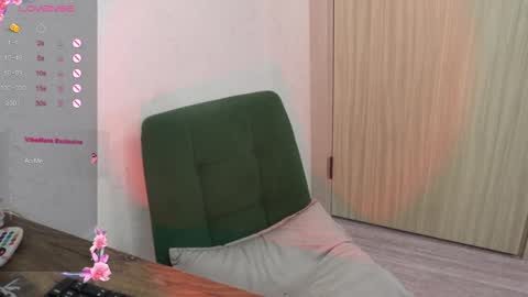 Snapshot of _viv1an_ chatting on January 25, 2025, 8:42 am Alis online show from January 25, 2025, 8:42 am