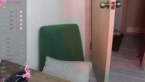 Snapshot of _viv1an_ chatting on January 25, 2025, 2:47 pm Alis online show from January 25, 2025, 2:47 pm