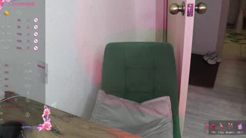 Snapshot of _viv1an_ chatting on February 3, 2025, 12:47 pm Alis online show from February 3, 2025, 12:47 pm