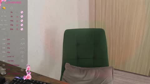 Snapshot of _viv1an_ chatting on February 10, 2025, 11:25 am Alis online show from February 10, 2025, 11:25 am