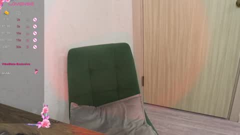 Snapshot of _viv1an_ chatting on February 14, 2025, 9:24 am Alis online show from February 14, 2025, 9:24 am