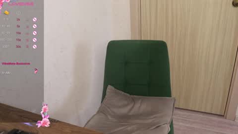 Snapshot of _viv1an_ chatting on February 15, 2025, 9:05 am Alis online show from February 15, 2025, 9:05 am