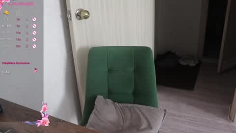 Snapshot of _viv1an_ chatting on February 26, 2025, 7:42 am Alis online show from February 26, 2025, 7:42 am