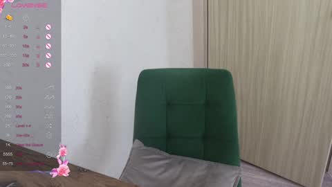 Snapshot of _viv1an_ chatting on February 27, 2025, 12:23 pm Alis online show from February 27, 2025, 12:23 pm