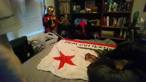 A Bored Dragon online show from March 11, 2025, 3:56 pm