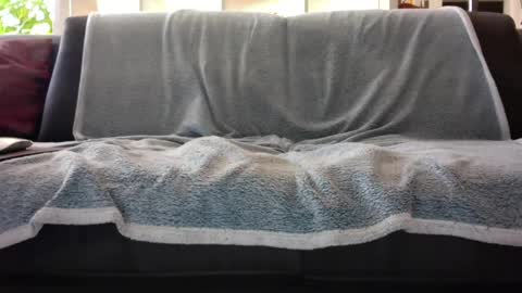 a_nice_dick_77 online show from February 7, 2025, 10:08 am