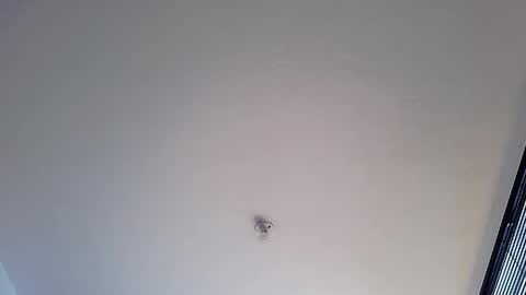 Snapshot of abbi_moon chatting on January 12, 2025, 1:48 pm Martina online show from January 12, 2025, 1:48 pm