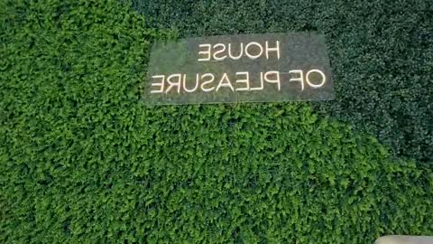 A B B Y online show from February 19, 2025, 3:16 pm