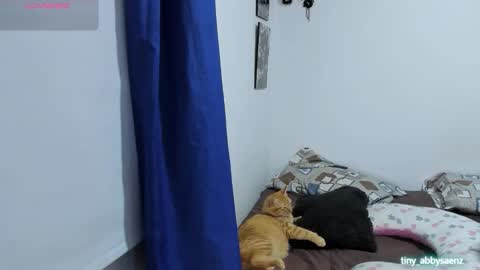 Abby Saenz online show from October 18, 2025, 11:27 pm