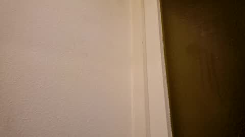 Snapshot of abdulla1912 chatting on February 1, 2025, 5:16 pm abdulla1912 online show from February 1, 2025, 5:16 pm