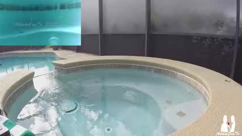 Snapshot of adamevetv chatting on November 29, 2025, 6:00 pm Adam And Eve online show from November 29, 2025, 6:00 pm