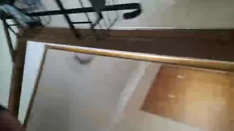 adamlucas54321s773712 online show from October 8, 2025, 1:36 am