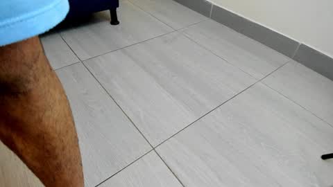 adbel sady online show from December 24, 2024, 11:17 am