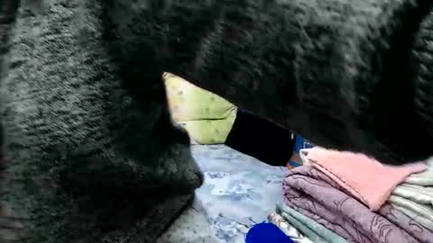 Larisa online show from November 15, 2025, 11:29 am