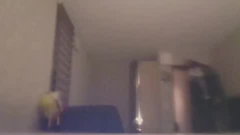 ahbehbi12 online show from March 10, 2025, 7:40 pm