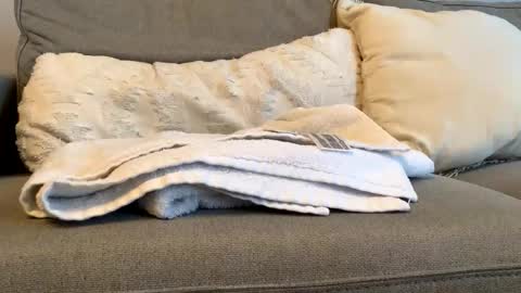 Snapshot of airmyles92 chatting on November 6, 2025, 4:52 pm canadianboy92 online show from November 6, 2025, 4:52 pm