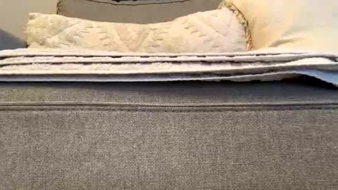 Snapshot of airmyles92 chatting on November 15, 2025, 6:59 pm canadianboy92 online show from November 15, 2025, 6:59 pm