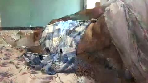 Snapshot of ajeeb_najeeb chatting on December 16, 2024, 6:32 am BigHairyGuy online show from December 16, 2024, 6:32 am