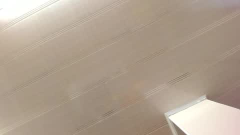 Maeve  online show from December 28, 2024, 11:09 am