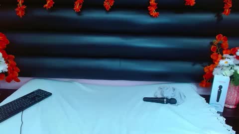 Snapshot of alasmith_ chatting on January 29, 2025, 4:58 am AlaSmith online show from January 29, 2025, 4:58 am