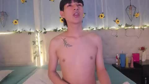 Snapshot of ale_aurarashi chatting on November 6, 2025, 2:34 am ale_aurarashi online show from November 6, 2025, 2:34 am