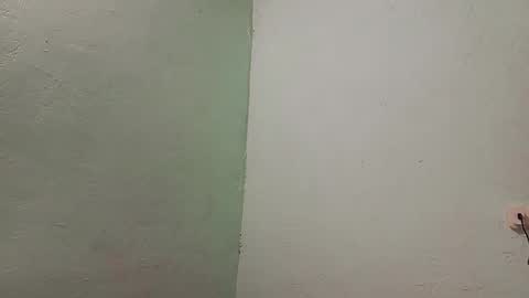 Snapshot of aleo_011 chatting on December 23, 2024, 1:29 am Alejandro online show from December 23, 2024, 1:29 am