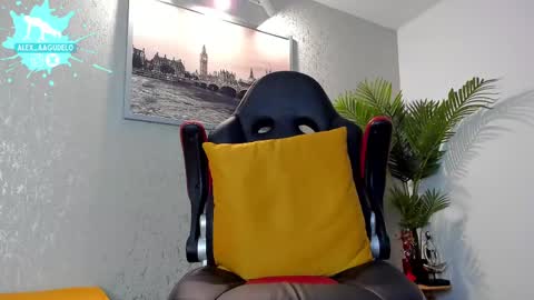 x   online show from February 21, 2025, 10:17 am