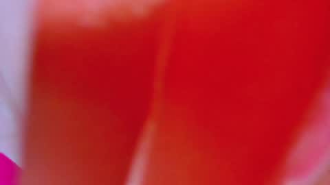 Snapshot of alexandramaravilla chatting on February 4, 2025, 8:02 am ALEXANDRA online show from February 4, 2025, 8:02 am