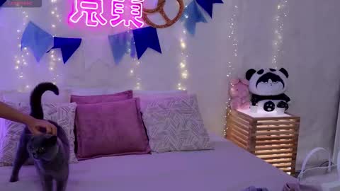 Alice in Wonderland  online show from September 29, 2025, 5:23 am