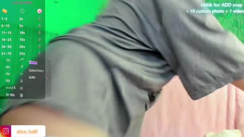 Snapshot of alice_halle chatting on December 8, 2024, 4:07 pm alice_halle online show from December 8, 2024, 4:07 pm